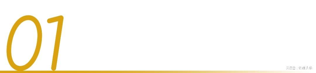 bob半岛体育官方网站-冲着周杰伦“一轮游”来,却嗑起了澳网和国窖1573的CP